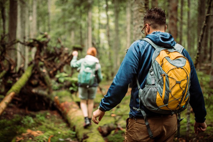 Group of friends hikers in forest, walking and seaking for a good place for camping